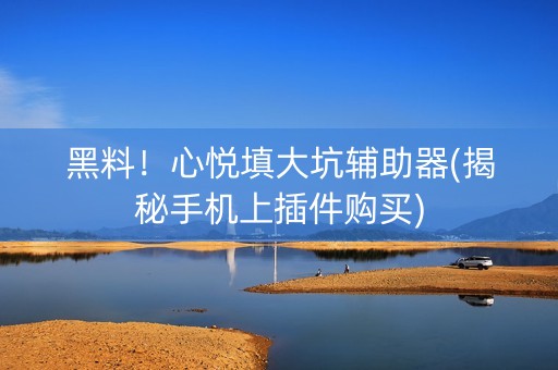 黑料！心悦填大坑辅助器(揭秘手机上插件购买)