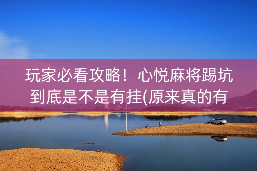 玩家必看攻略！心悦麻将踢坑到底是不是有挂(原来真的有挂)