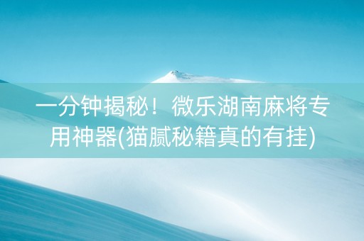 一分钟揭秘！微乐湖南麻将专用神器(猫腻秘籍真的有挂)