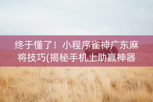 终于懂了！小程序雀神广东麻将技巧(揭秘手机上助赢神器)