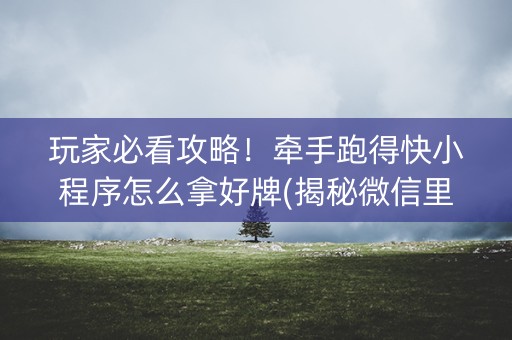 玩家必看攻略！牵手跑得快小程序怎么拿好牌(揭秘微信里胡牌技巧)