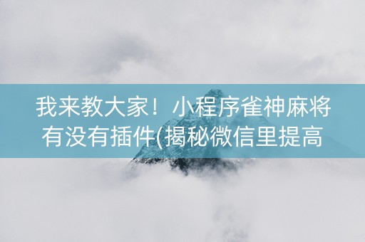 我来教大家！小程序雀神麻将有没有插件(揭秘微信里提高胜率)