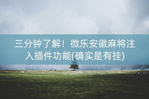 三分钟了解！微乐安徽麻将注入插件功能(确实是有挂)