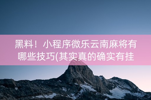 黑料！小程序微乐云南麻将有哪些技巧(其实真的确实有挂)