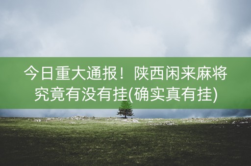 今日重大通报！陕西闲来麻将究竟有没有挂(确实真有挂)