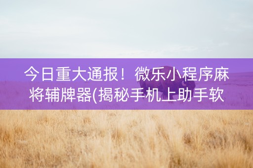 今日重大通报！微乐小程序麻将辅牌器(揭秘手机上助手软件)