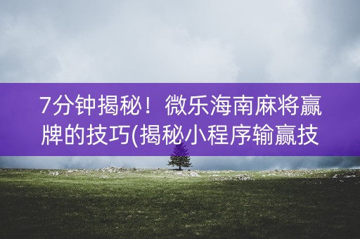 7分钟揭秘！微乐海南麻将赢牌的技巧(揭秘小程序输赢技巧)