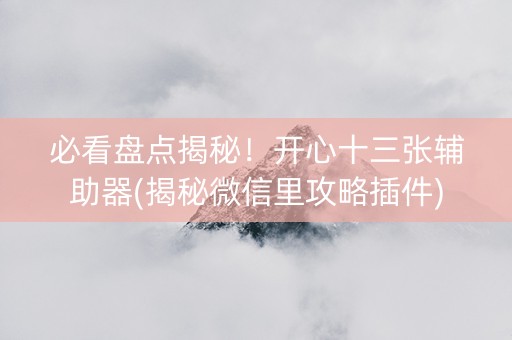 必看盘点揭秘！开心十三张辅助器(揭秘微信里攻略插件)