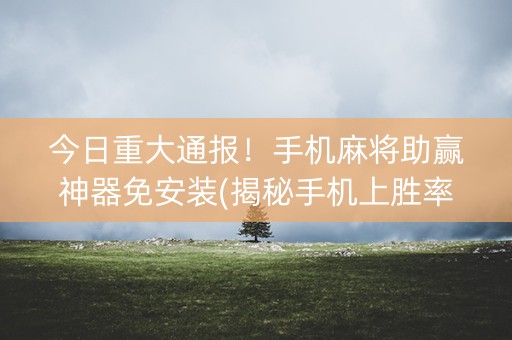 今日重大通报！手机麻将助赢神器免安装(揭秘手机上胜率到哪调)