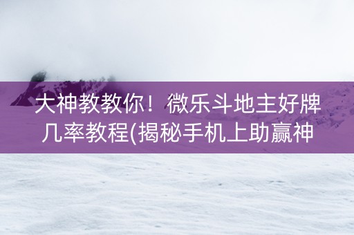 大神教教你！微乐斗地主好牌几率教程(揭秘手机上助赢神器购买)