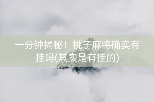 一分钟揭秘！桃子麻将确实有挂吗(其实是有挂的)