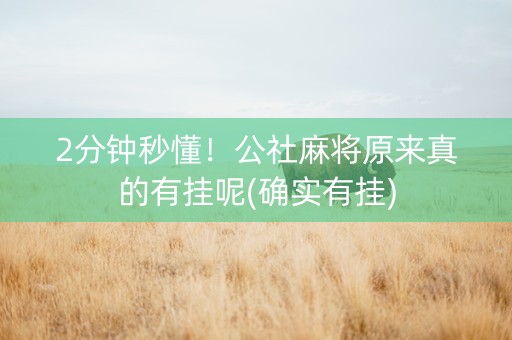 2分钟秒懂！公社麻将原来真的有挂呢(确实有挂)