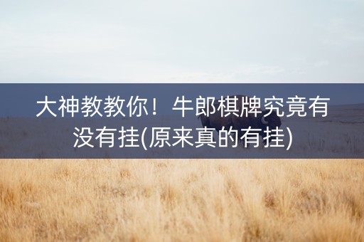 大神教教你！牛郎棋牌究竟有没有挂(原来真的有挂)