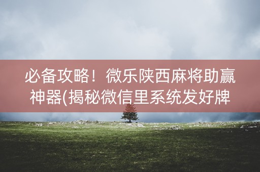 必备攻略！微乐陕西麻将助赢神器(揭秘微信里系统发好牌)