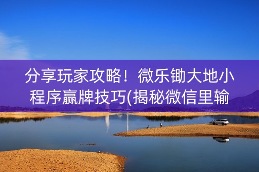 分享玩家攻略！微乐锄大地小程序赢牌技巧(揭秘微信里输赢规律)