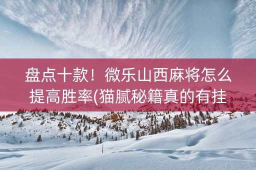 盘点十款！微乐山西麻将怎么提高胜率(猫腻秘籍真的有挂)