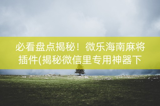 必看盘点揭秘！微乐海南麻将插件(揭秘微信里专用神器下载)