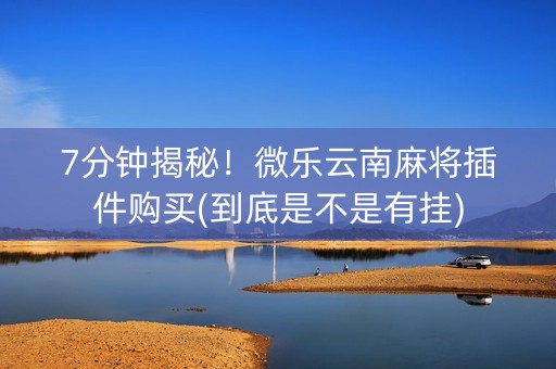 7分钟揭秘！微乐云南麻将插件购买(到底是不是有挂)