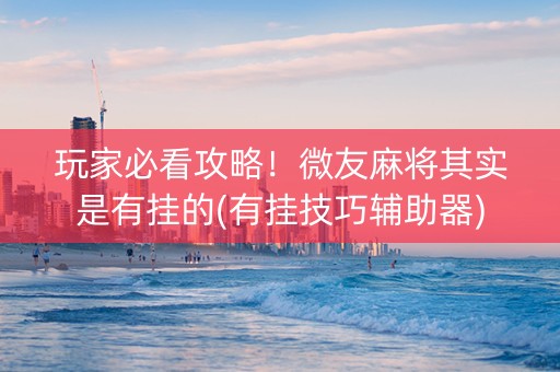 玩家必看攻略！微友麻将其实是有挂的(有挂技巧辅助器)