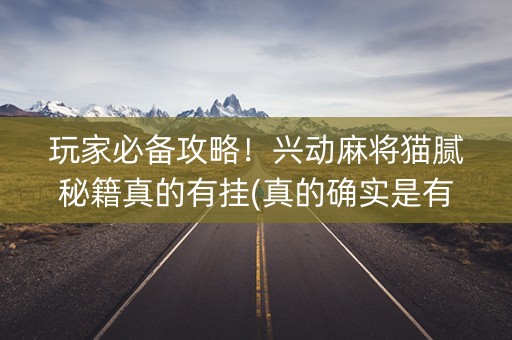 玩家必备攻略！兴动麻将猫腻秘籍真的有挂(真的确实是有挂)