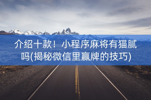 介绍十款！小程序麻将有猫腻吗(揭秘微信里赢牌的技巧)