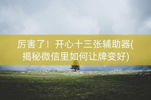 厉害了！开心十三张辅助器(揭秘微信里如何让牌变好)