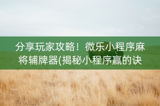 分享玩家攻略！微乐小程序麻将辅牌器(揭秘小程序赢的诀窍)