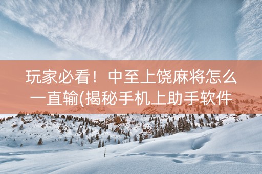 玩家必看！中至上饶麻将怎么一直输(揭秘手机上助手软件)