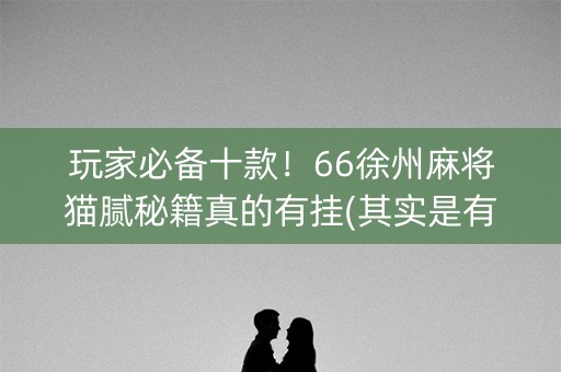 玩家必备十款！66徐州麻将猫腻秘籍真的有挂(其实是有挂确实有挂)