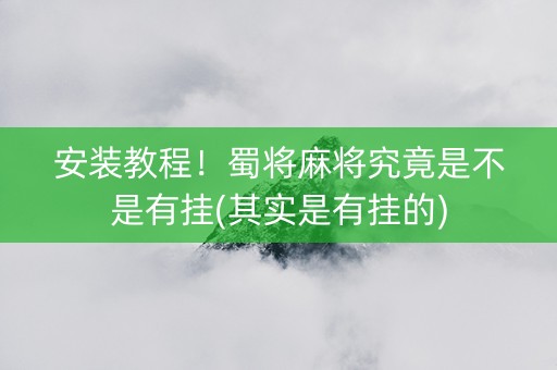 安装教程！蜀将麻将究竟是不是有挂(其实是有挂的)