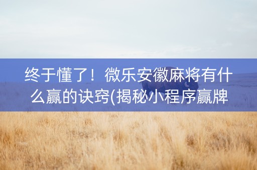 终于懂了！微乐安徽麻将有什么赢的诀窍(揭秘小程序赢牌技巧)