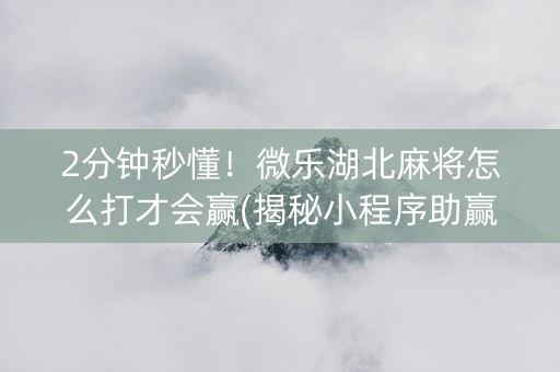 2分钟秒懂！微乐湖北麻将怎么打才会赢(揭秘小程序助赢神器购买)