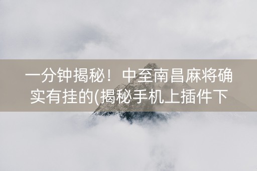 一分钟揭秘！中至南昌麻将确实有挂的(揭秘手机上插件下载)