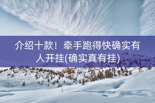 介绍十款！牵手跑得快确实有人开挂(确实真有挂)