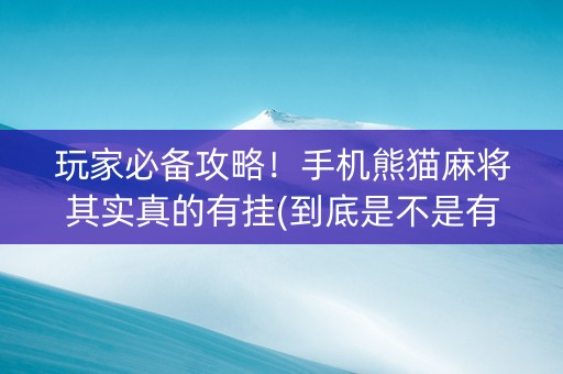 玩家必备攻略！手机熊猫麻将其实真的有挂(到底是不是有挂)