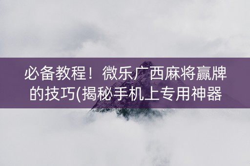 必备教程！微乐广西麻将赢牌的技巧(揭秘手机上专用神器下载)