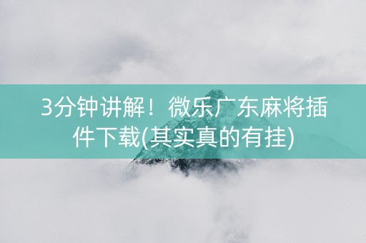3分钟讲解！微乐广东麻将插件下载(其实真的有挂)