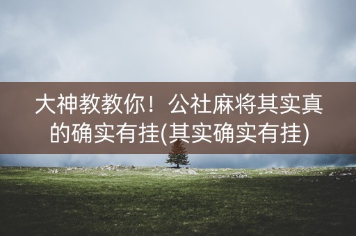 大神教教你！公社麻将其实真的确实有挂(其实确实有挂)