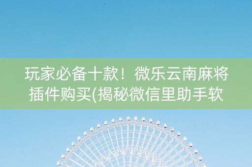玩家必备十款！微乐云南麻将插件购买(揭秘微信里助手软件)