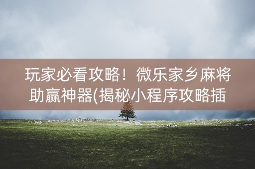 玩家必看攻略！微乐家乡麻将助赢神器(揭秘小程序攻略插件)