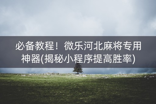必备教程！微乐河北麻将专用神器(揭秘小程序提高胜率)