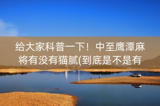 给大家科普一下！中至鹰潭麻将有没有猫腻(到底是不是有挂)