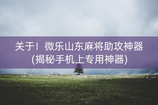 关于！微乐山东麻将助攻神器(揭秘手机上专用神器)