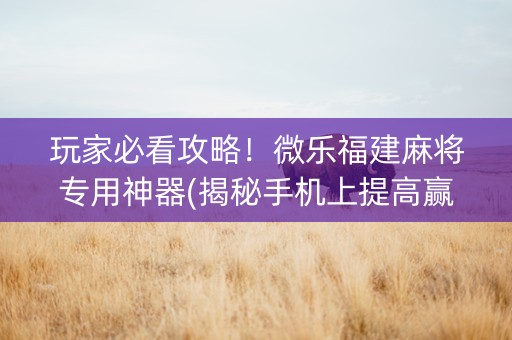 玩家必看攻略！微乐福建麻将专用神器(揭秘手机上提高赢的概率)