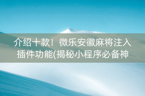 介绍十款！微乐安徽麻将注入插件功能(揭秘小程序必备神器)