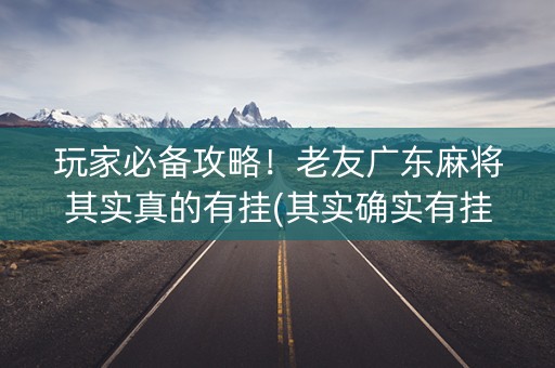 玩家必备攻略！老友广东麻将其实真的有挂(其实确实有挂)