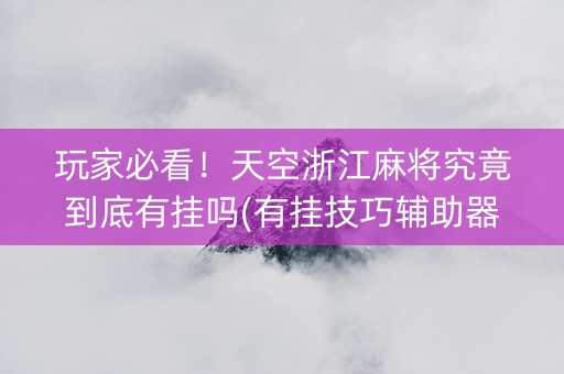 玩家必看！天空浙江麻将究竟到底有挂吗(有挂技巧辅助器)
