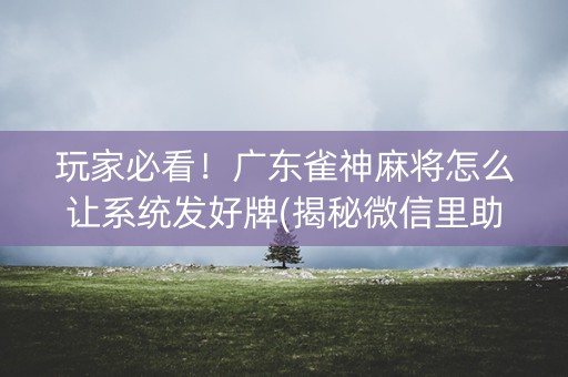 玩家必看！广东雀神麻将怎么让系统发好牌(揭秘微信里助手软件)