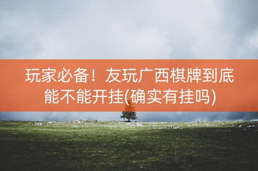 玩家必备！友玩广西棋牌到底能不能开挂(确实有挂吗)
