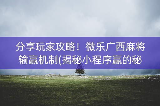 分享玩家攻略！微乐广西麻将输赢机制(揭秘小程序赢的秘诀)
